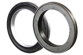 locking gasket