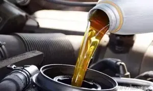 22x35x7 oil seal